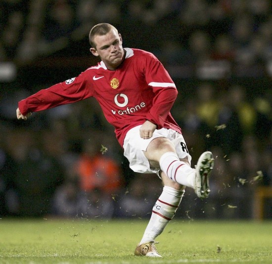 葡体高层此 葡体高层此